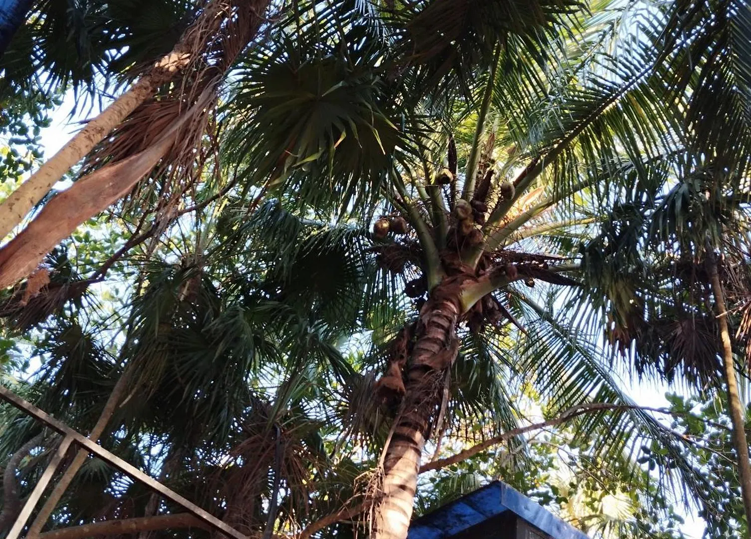 Casa de hóspedes Xxxxxxx Hotel Tulum México
